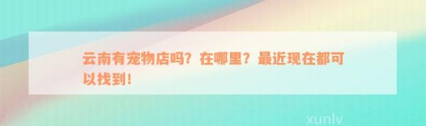 云南有宠物店吗？在哪里？最近现在都可以找到！