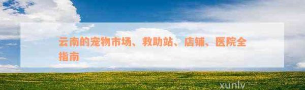 云南的宠物市场、救助站、店铺、医院全指南