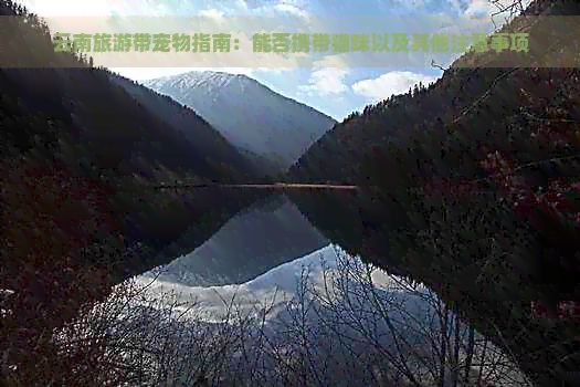 云南旅游带宠物指南：能否携带猫咪以及其他注意事项