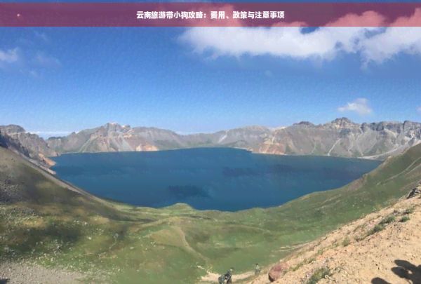 云南旅游带小狗攻略：费用、政策与注意事项