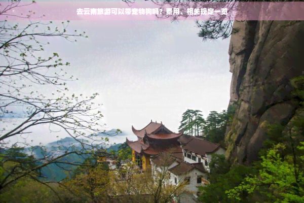去云南旅游可以带宠物狗吗？费用、相关规定一览