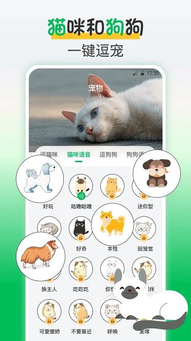 鸟语翻译王app下载