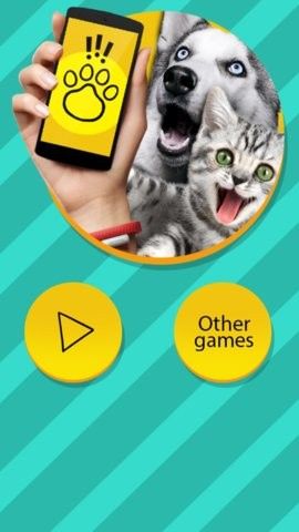 鸟语翻译器apppettranslator