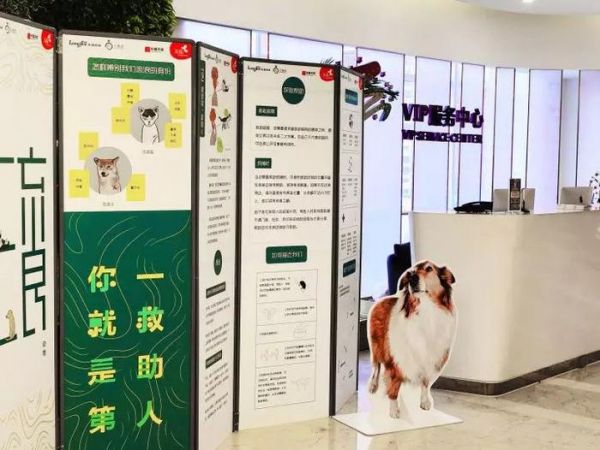 萌宠乐园咨询处，打造一站式宠物生活服务平台