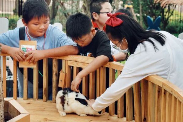 萌宠乐园咨询处，打造一站式宠物生活服务平台