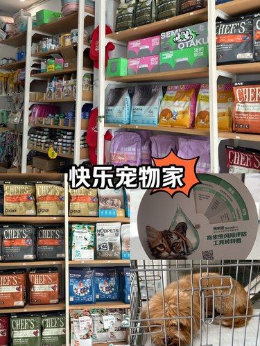 我要曝光这一家宠物店！