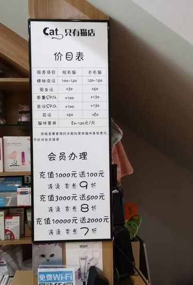 喵星人的眼眸与微笑