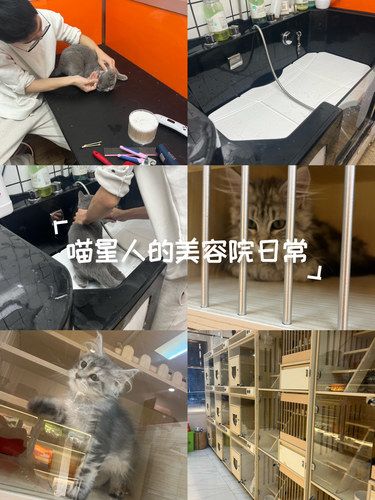 快过年了 带逆子出来洗澡啦