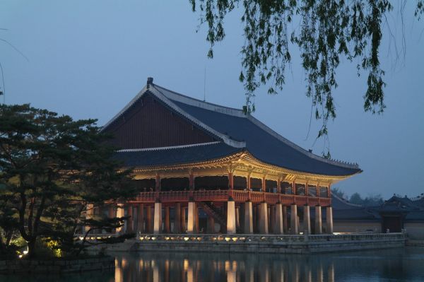 龟山萌宠乐园之旅，体验真实的自然与快乐