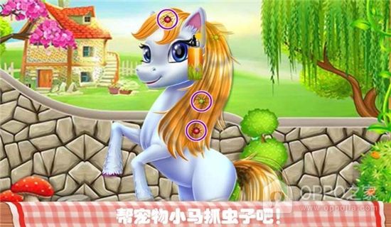 宠物化妆世界