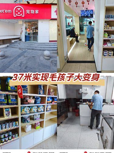37米实现毛孩子大变身