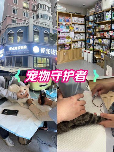 万物皆有灵性请善待每一个生命