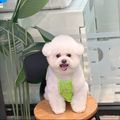 https://p0.meituan.net/userheadpicbackend/5b66d0aee254c7539baeb4eeb744b948469320.jpg%40120w_120h_1e_1c_1l%7Cwatermark%3D0