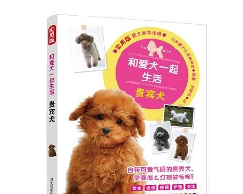 如何为贵宾狗理发（宠物理发的小技巧）