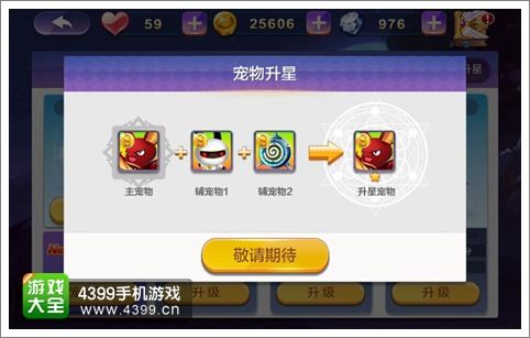 天天风之旅宠物升星怎么用 宠物如何升星