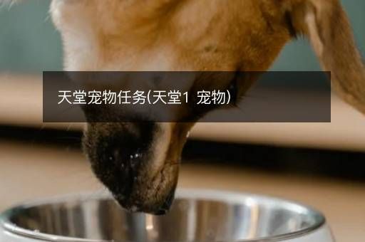 天堂宠物任务(天堂1 宠物)