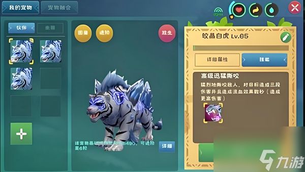 创造与魔法融合宠物哪个好