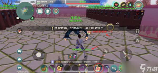 创造与魔法中的宠物有哪些种类？