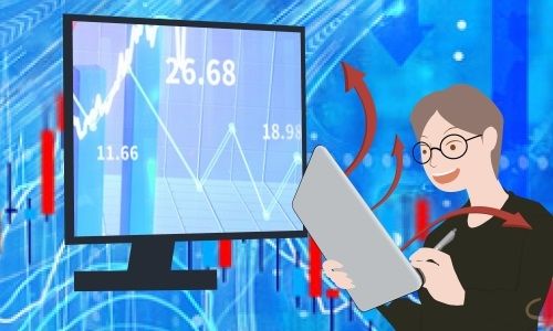 南宁二中可带宠物上学：学生党适合养什么宠物