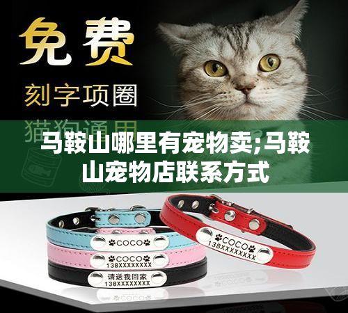 马鞍山哪里有宠物卖;马鞍山宠物店联系方式