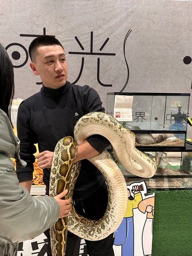遛娃｜周末在中街就能看各类爬宠啦