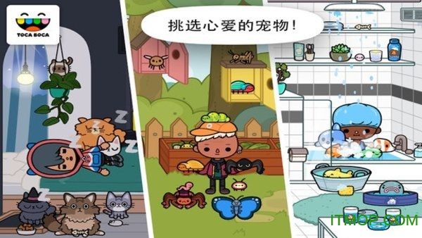 托卡宠物破解版