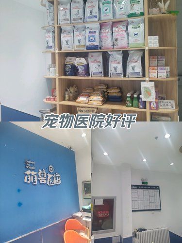 医术超赞 医心更美~