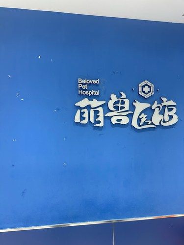 门头沟宠物医院救我猫命