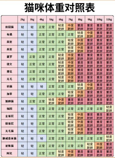 猫咪体重对照表