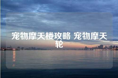 宠物摩天楼攻略 宠物摩天轮 第1张