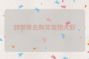 到哪里去购买宠物犬好