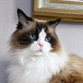 https://p0.meituan.net/userheadpicbackend/f8ea4127e6b26965a38e7aff4327bbdf657869.jpg%40120w_120h_1e_1c_1l%7Cwatermark%3D0