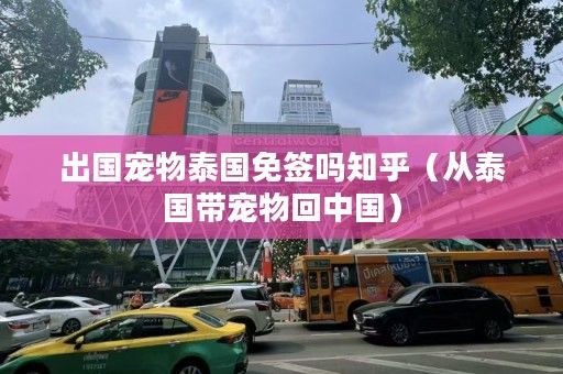 出国宠物泰国免签吗知乎（从泰国带宠物回中国）