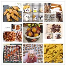 宠物零食制作指南？DIY宠物零食的10个简单食谱
