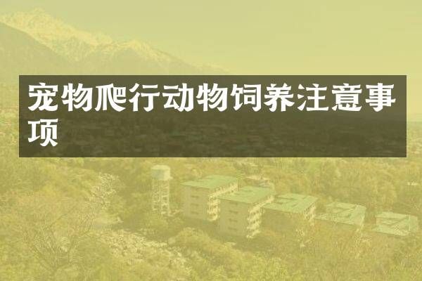 宠物爬行动物饲养注意事项