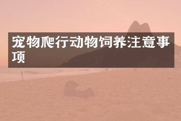 宠物爬行动物饲养注意事项
