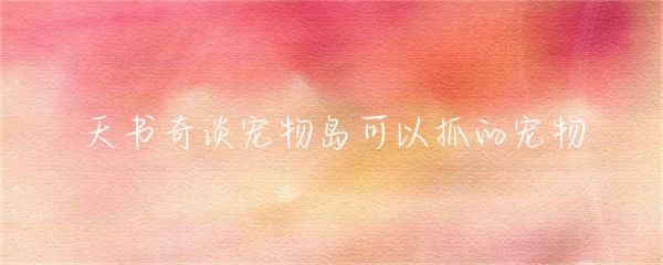 天书奇谈宠物岛可以抓的宠物