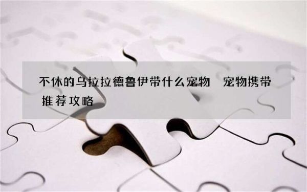 不休的乌拉拉德鲁伊带什么宠物 宠物携带推荐攻略