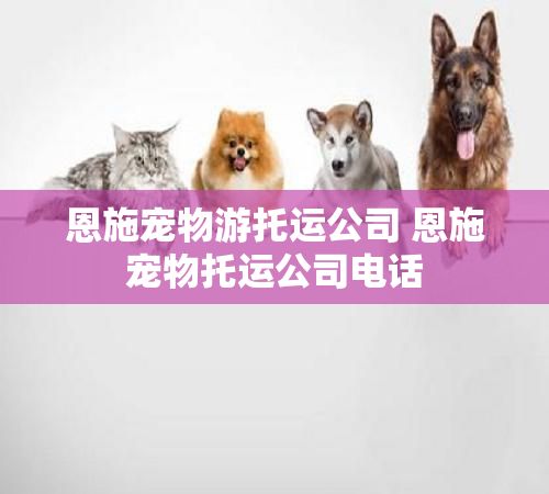 恩施宠物游托运公司 恩施宠物托运公司电话