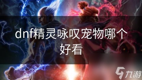 dnf精灵咏叹宠物哪个好看
