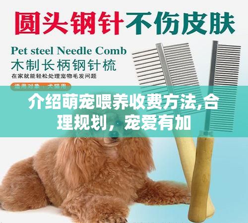 介绍萌宠喂养收费方法,合理规划，宠爱有加