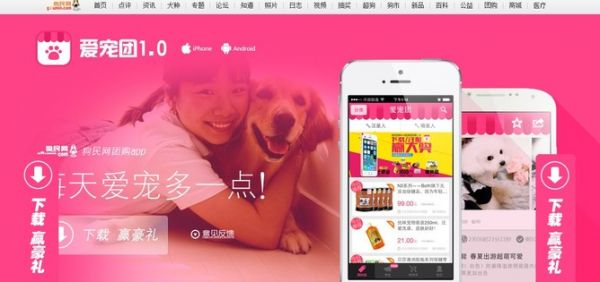狗民网推出宠物用品闪购应用爱宠团，想把唯品会模式搬到宠物领域