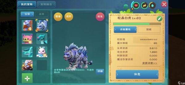 创造与魔法宠物如何捕捉 坐骑宠物需要什么饲料