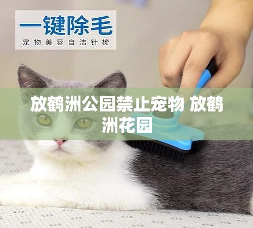 放鹤洲公园禁止宠物 放鹤洲花园