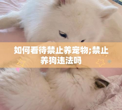如何看待禁止养宠物;禁止养狗违法吗