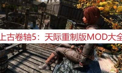 《上古卷轴5:天际重制版》MOD大全
