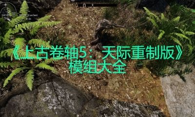 《上古卷轴5:天际重制版》模组大全