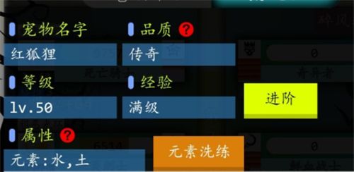 奇幻的冒险宠物怎么进阶 宠物品质提升攻略