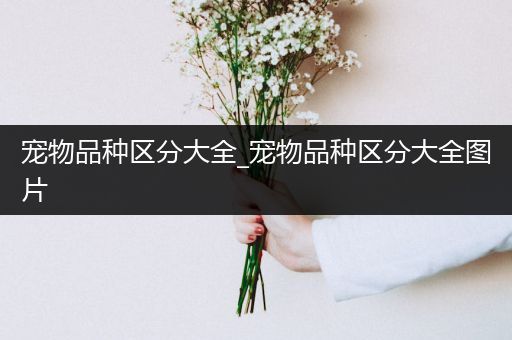 宠物品种区分大全_宠物品种区分大全图片