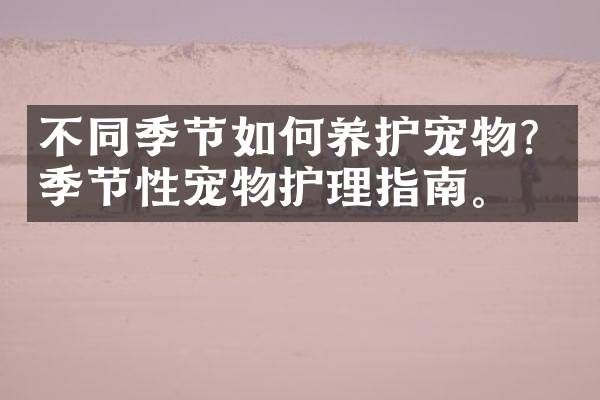 不同季节如何养护宠物？季节性宠物护理指南。